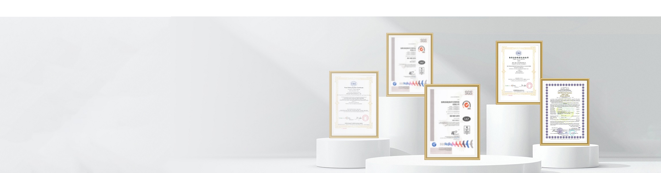 榮譽(yù)資質(zhì)